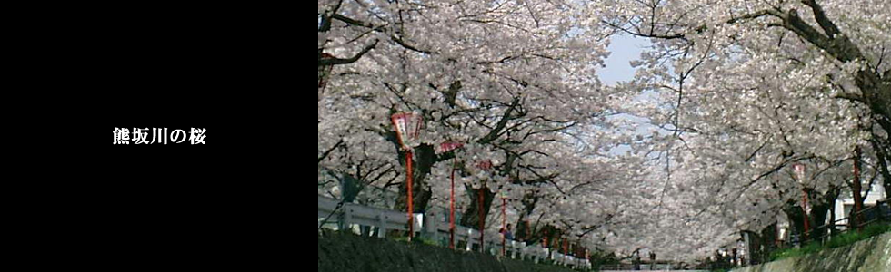 NPO法人歴町センター大聖寺